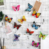 The Butterfly 3D Night Lamp Comes with 3D Illusion Design Suitable for Drawing Room, Lobby ( 3 Pcs )