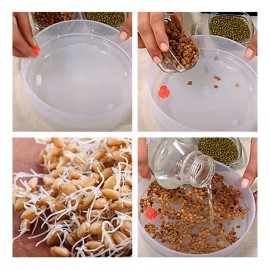 Plastic 4 Compartment Sprout Maker, White