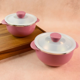 Apex Premium Plastic Serving Bowl Set with Lids (2 Pc)