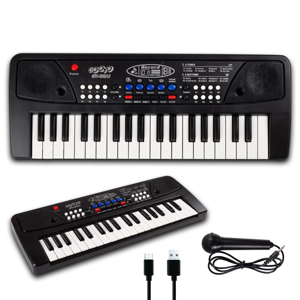 Bigfun 430A1 keyboard with Mike-Gooyo Piano