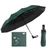 Umbrella for Women, Travel Umbrella - Mini Folding Compact Umbrella with Case, 8 Ribs Lightweight, Small Sun & Rain Auto Open and Close for Girls and Women (Green)