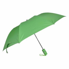  21 Inch 2 Fold Auto Open Umbrella (Green)