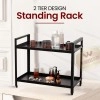 2-Tier Kitchen Countertop Spice Shelf Rack Container Holder Organizer (Black)