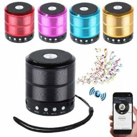 WS-887 Wireless Bluetooth Outdoor Speaker (Mix Colour)