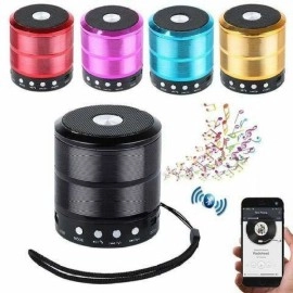 WS-887 Wireless Bluetooth Outdoor Speaker (Mix Colour)
