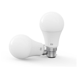 Led Bulbs