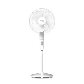 Table Fans 