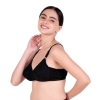 MyBra Embroidery Bra for Women Padded – Sulekha Comfortable Cotton Bra