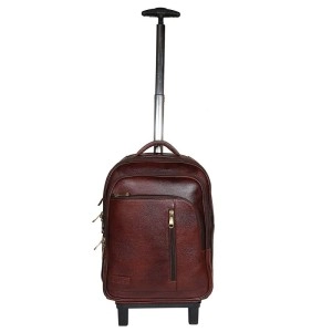 Hyatt Leather Accessories Leather 18 Inches Trolley Bag (New Backpack, Brown)