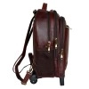Hyatt Leather Accessories Leather 18 Inches Trolley Bag (New Backpack, Brown)