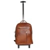 Hyatt Leather Accessories Leather 18 Inches Trolley Bag (New Backpack, Tan)
