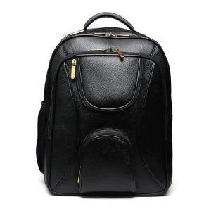 Hyatt Leather Accessories 20 Liters 40.6 cms Men & Women Laptop Backpack (Black)