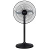 Bajaj Tez MK II Farrata 450 mm Pedestal Fan (Black)