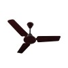 Crompton Cool Breeze 900 mm (36 inch) Long Lasting Rust Free Ceiling Fan (Brown)