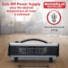 Maharaja Whiteline Flare 2000-Watt Heat Convector (Grey and Black) Room Heater