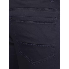 Men Regular Mid Rise Blue Jeans (RJD203)