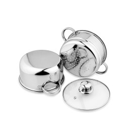 Pigeon Steel X Steamer Stainless Steel Induction Base, Modak Maker/Momo Maker, dual compartment with Glass Lid, 2.6L capacity, Silver