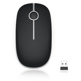 Mouse
