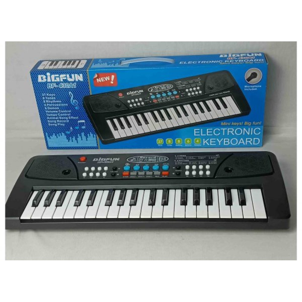 Bigfun 430A1 keyboard with Mike-Gooyo Piano