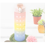 Plastic Colorful Motivational Water Bottle with Straw (750ml)