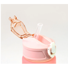 Plastic Colorful Motivational Water Bottle with Straw (750ml)