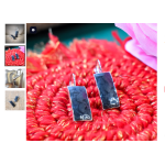 Dangle Earrings