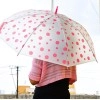 Dot Printed Umbrella for Men and Women Multicolor